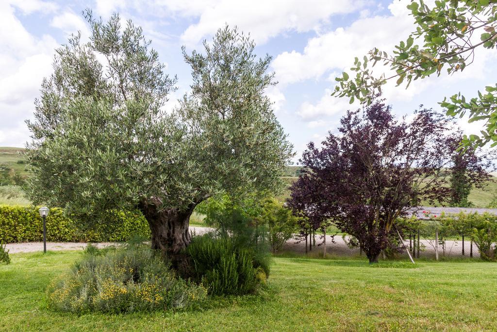 La Leopoldina Holiday Home Montaione Exterior foto